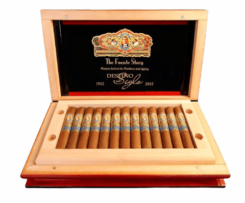 DESTINO AL SIGLO (ARTURO FUENTE)